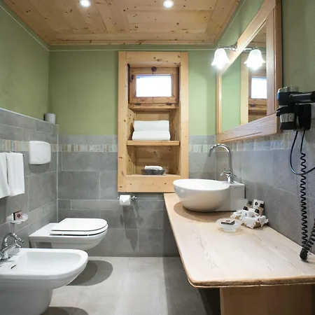 호텔 Bucaneve 브루일서비니아