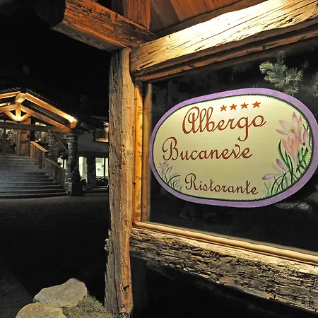 Bucaneve 브루일서비니아