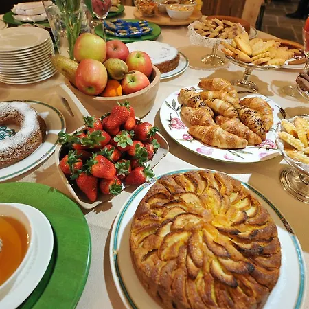 Bucaneve 브루일서비니아